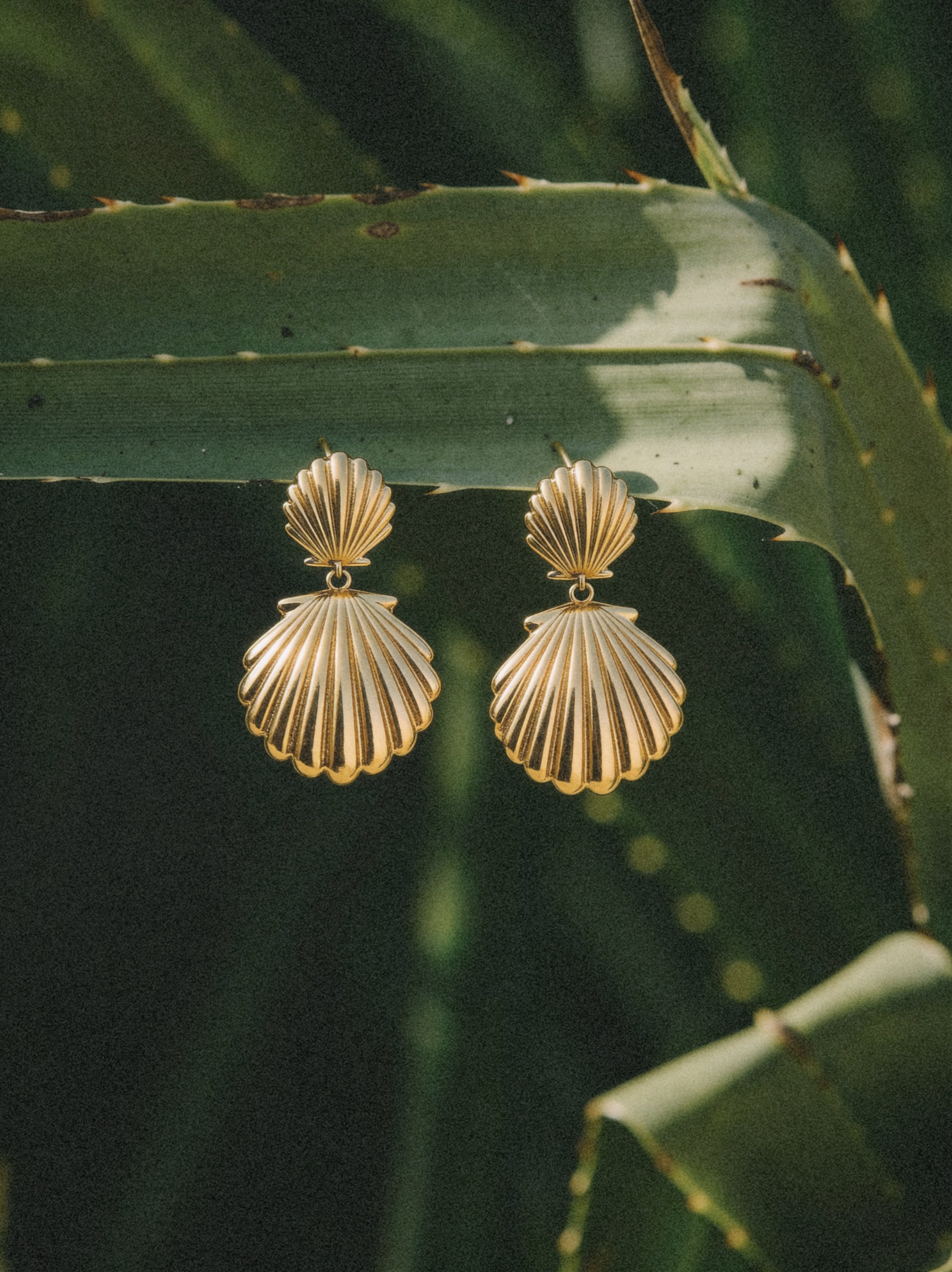 Golden Shell Ohrringe