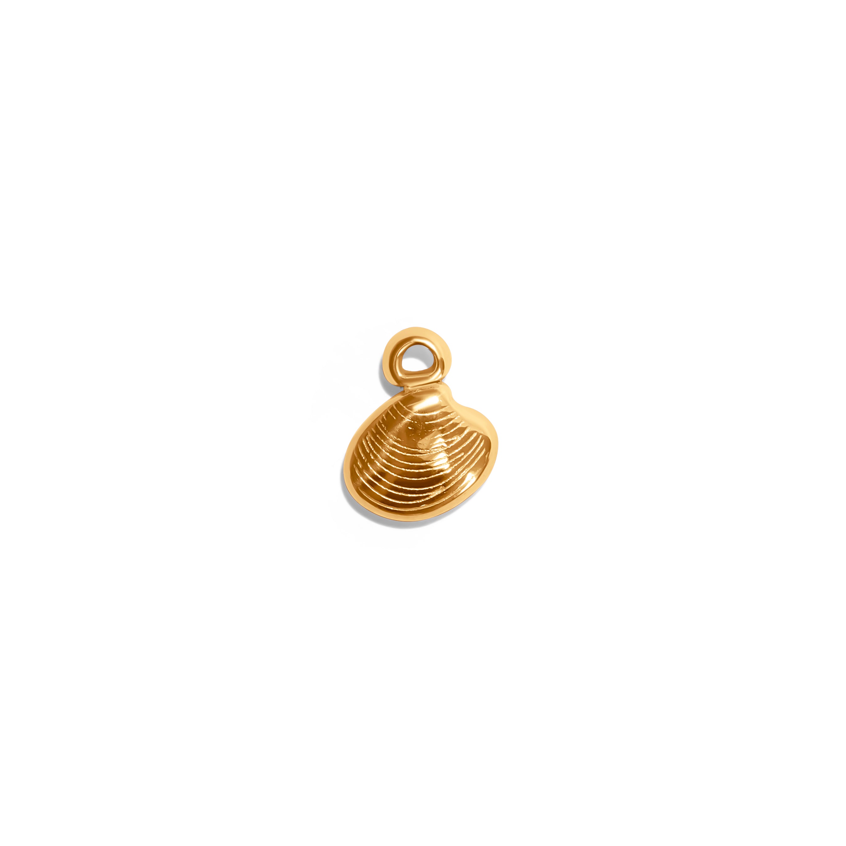 Kleine Muschel-Charm aus 14K vergoldetem Edelstahl mit feiner Oberflächenstruktur, maritimes Design