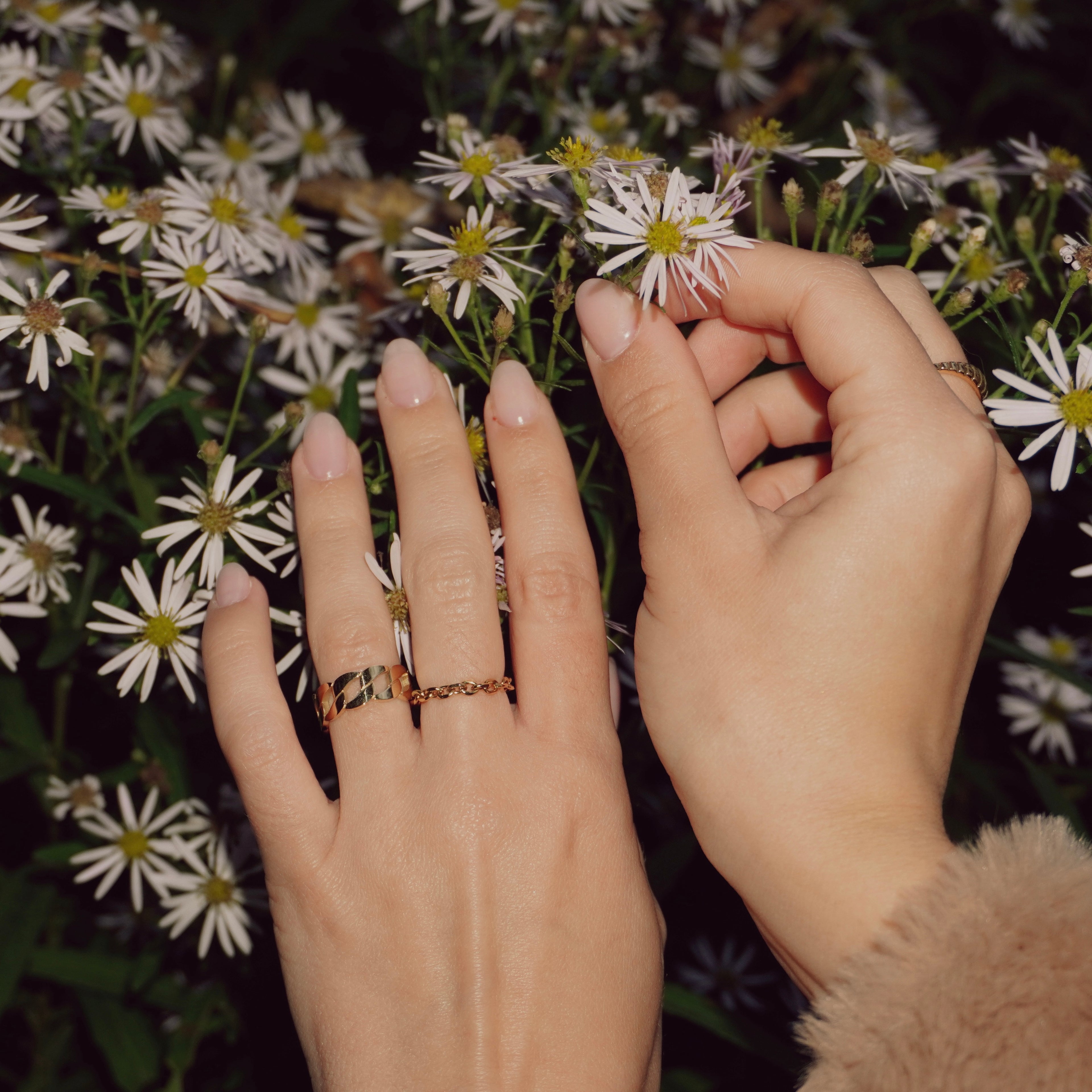 Tanned Ring